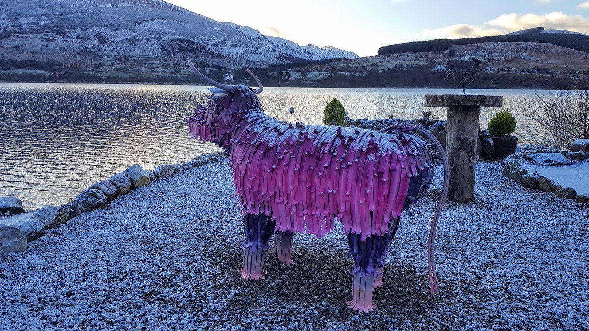 Kim Proven tweet media