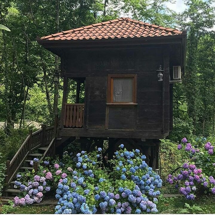 Lazımsız insanları sevdiyiniz kimi Həyatı da sevsəydiniz , onun da necə gözəl olduğunu anlardınız.