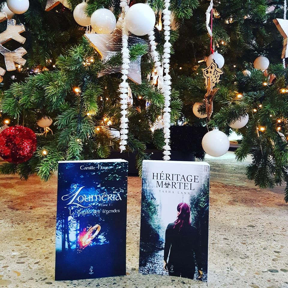 EditionsCalepin's tweet photo. Pour un petit matin de Noël, dans le froid et la bonne humeur ! Cam Huot &amp; Tasha Lann #livre  #lecture #cadeaux

https://t.co/PFdru8tvyD https://t.co/yi6vxOmfhc