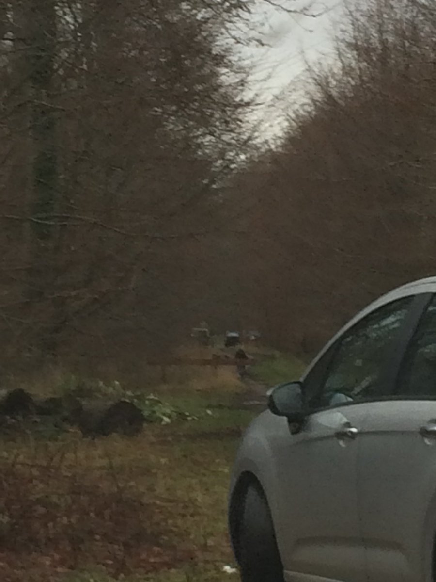 CaccContact's tweet photo. Forêt de Retz : Après la chasse à tir hier, la chasse à courre aujourd'hui! Des animaux en stress permanent gênés par de nombreux 4X4 qui empruntent les laies à vive allure. La chasse à courre à cheval, mais aussi en 4X4 ! De plus en plus courant ! Très écologique ! https://t.co/z56b0rXWq9
