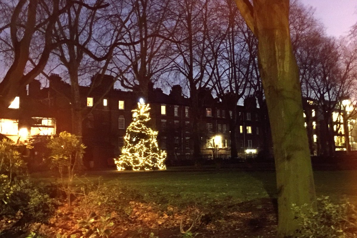 MaryleboneFest's tweet photo. Lovely Christmas tree donated by @w1developments @DruceandCo #marylebone #community #charity #christmastree #paddingtongardens https://t.co/hZi9dPwLOR