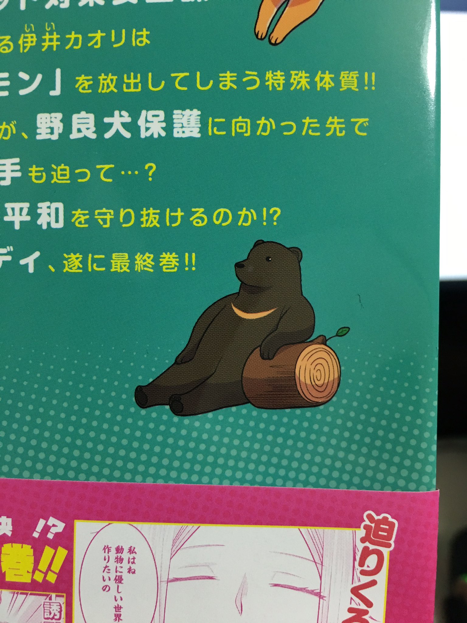 リコシェ号 宣伝 本日カオリわーにんぐ 最終巻である3巻が発売されておりますー 何卒 何卒よろしくお願いしますー 個人的に裏の熊が好きです T Co Qrdj3wxh Twitter