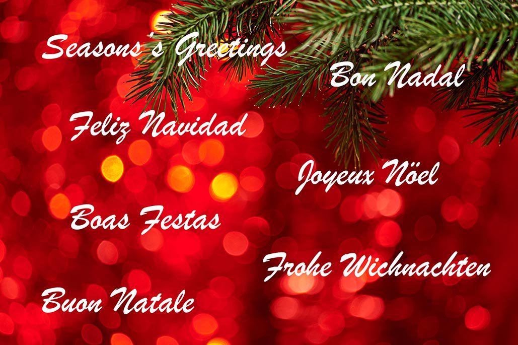 IGMASA Management tweet media