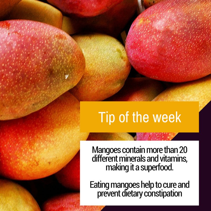ShambaChef's tweet photo. #Mangoes are readily available almost throughout the year. They can either be eaten plain or cut up into pieces then added to the main dish, fruit salads and flour mixtures before baking. #nutrition https://t.co/JRkbAlA1Fg