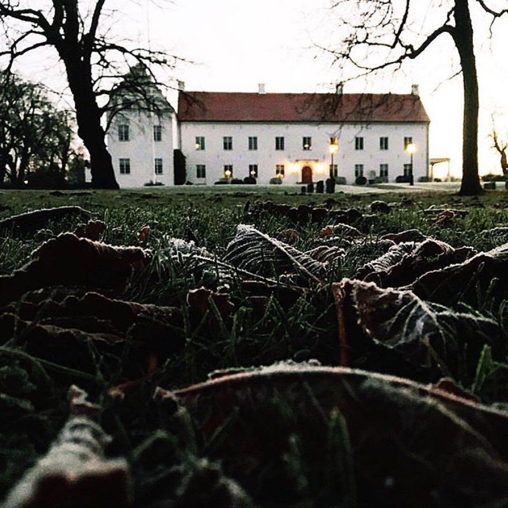 Kava Projects tweet media