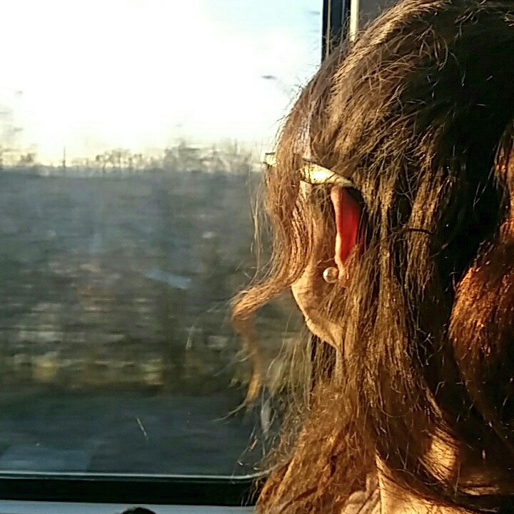 biasottielena's tweet photo. In viaggio verso #Venezia in preparazione a #caputmundi | @Nicole_Faccio  @IUS_VE https://t.co/Qcxj572eC1