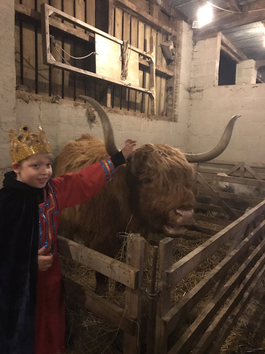 Our Live Nativity was magical! 🌟🌟
#school #tiffield #nativity #Northamptonshire #Towcester #festive