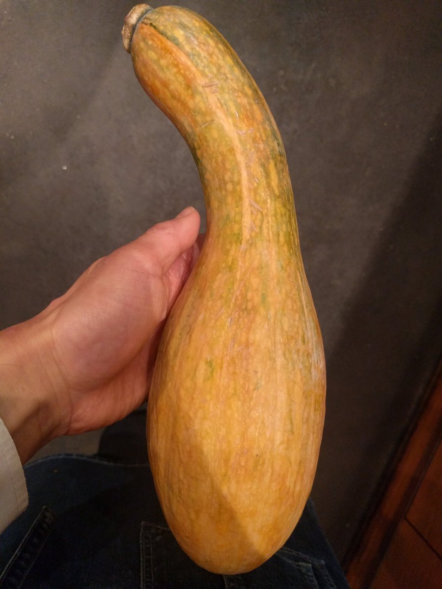 農家の台所 新宿3丁目店 Pa Twitter まるでメロンなかぼちゃ かぼちゃなのに 生で食べられて かぼちゃなのに メロンの甘み 南部一郎かぼちゃといいます 岩手の伝統野菜です ツルの首に似てることから 鶴首かぼちゃとも 野菜 サラダ かぼちゃ メロン 農家の台所 新宿3丁目店 Pa Twitter まるでメロンなかぼちゃ かぼちゃなのに 生で食べられて かぼちゃなのに メロンの甘み 南部一郎かぼちゃといいます 岩手の伝統野菜です ツルの首に似てることから 鶴首かぼちゃとも 野菜 サラダ かぼちゃ メロン