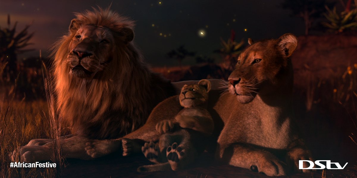 DStv's tweet photo. Thought we were done? Meet the Motaung Family 🦁 - Tau, Kateko & baby Zuri.
Stay tuned for more #AfricanFestive stories. https://t.co/HqsKQtO5IS
