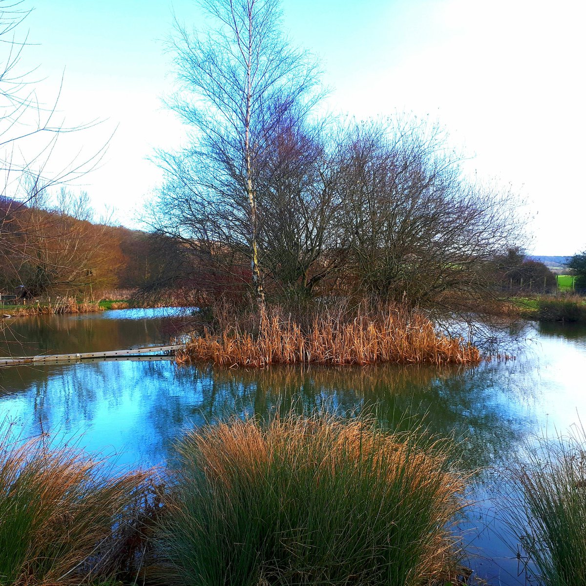 micorsica's tweet photo. still water 
fish wait 
for mayfly 

#micropoetry https://t.co/vP8uRPxYtZ