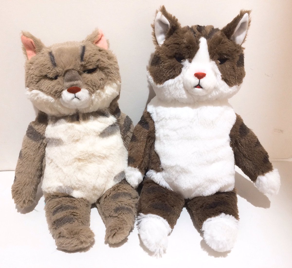 世にも不思議な猫世界」のぬいぐるみやリールパスケースが入荷致しまし