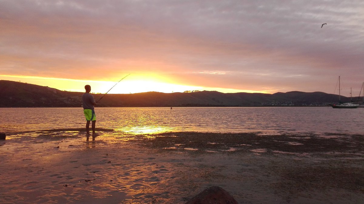 Explore Knysna tweet media