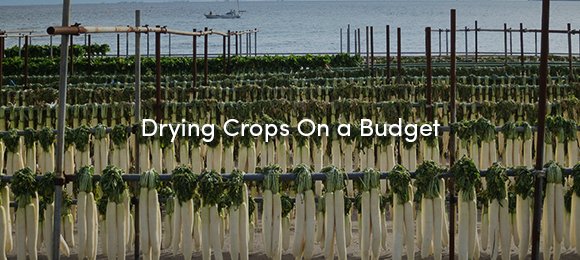AgriviCorp's tweet photo. What Makes Sun Drying a Valuable Farm Practice? ➡️ https://t.co/b8L35Uz6Ii #AgTech #SmallHolder #FarmPractice #Agriculture #CropProduction #SunDrying https://t.co/lpYV9prlyK
