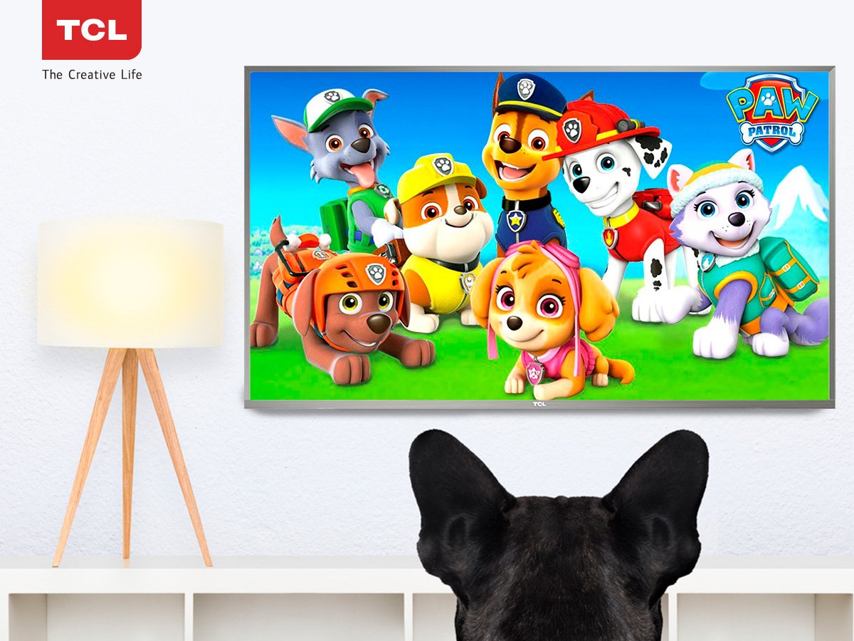 TCL_OficialBR's tweet photo. Até os mascotinhos estão assistindo a nossa TV! :P #TCLBR #PawPatrol https://t.co/hmmqnV9x1o