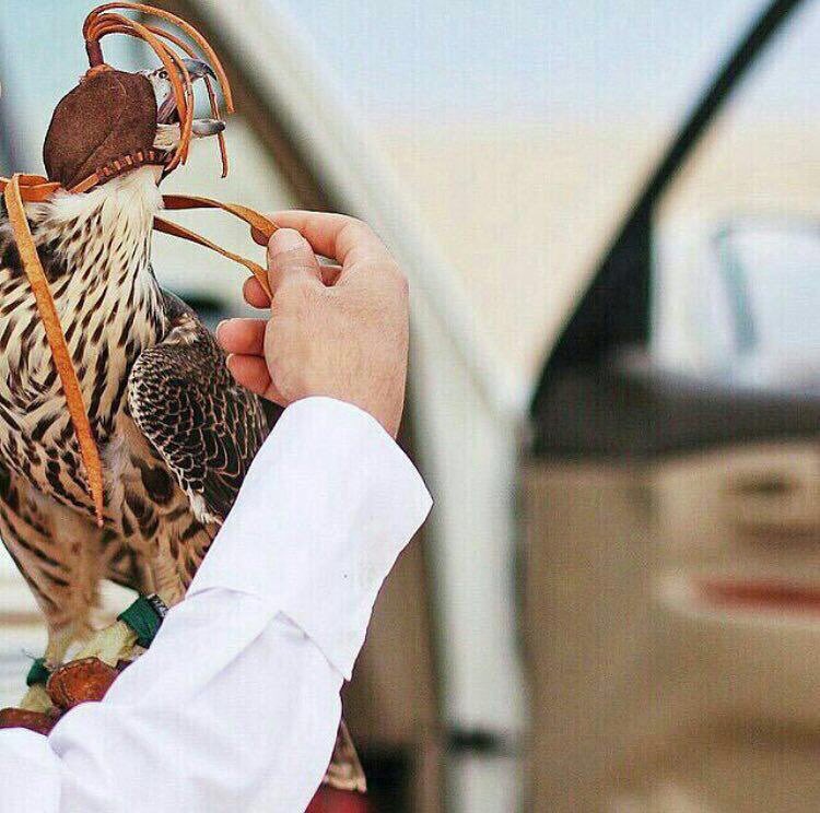 AlnheBandar's tweet photo. صباح الخير https://t.co/kuQV9Uquop