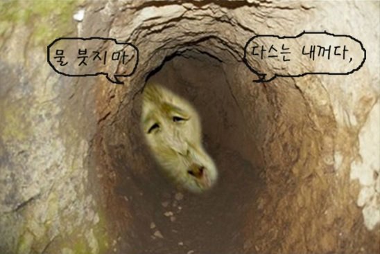 빨리 나와라~안나오면 물 붓는다.,