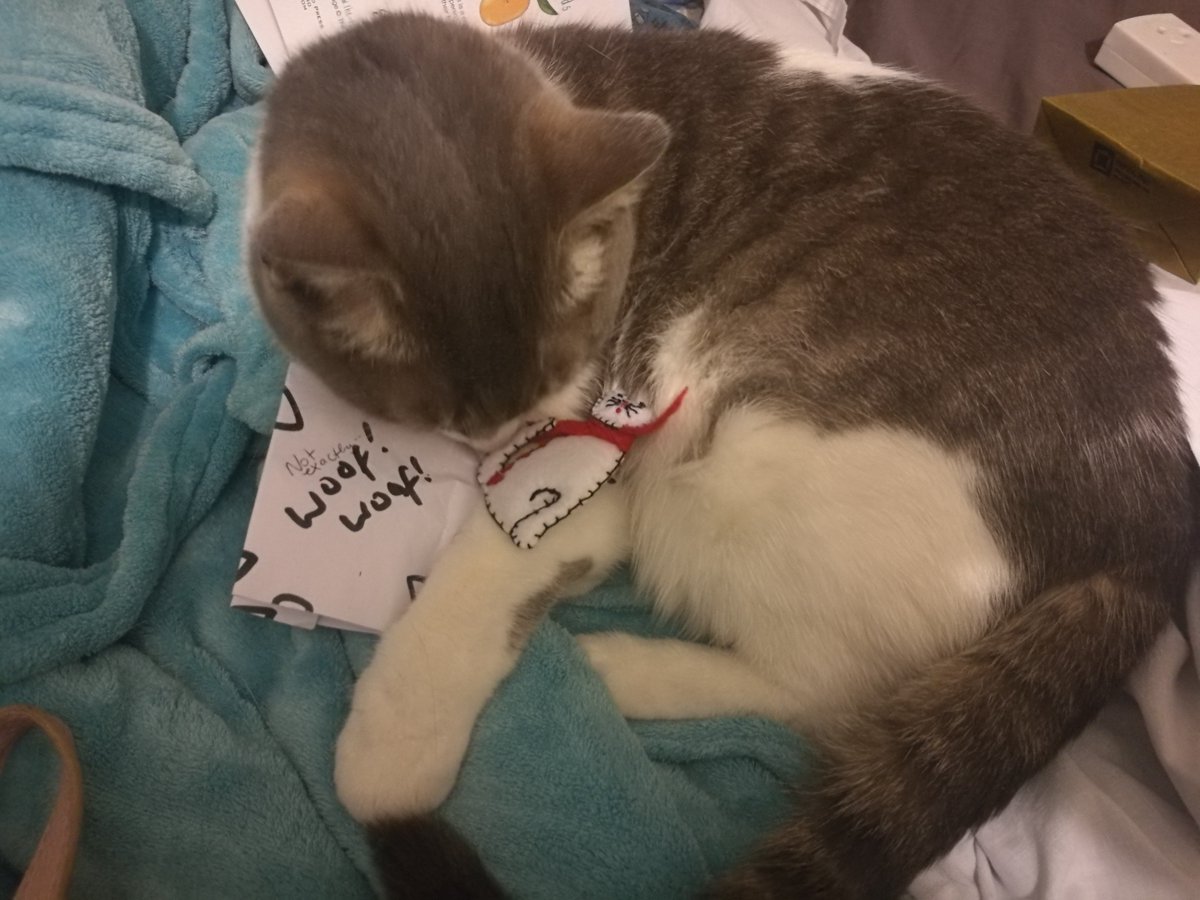 estherbridewell's tweet image. Awwww cat pin awwww cutest thing ever and yes Secret Santa 2017 I will wear it with pride ❤ side note Cheeky Neema copping a sniff #spotthecat #whichisreal #nzsecretsanta