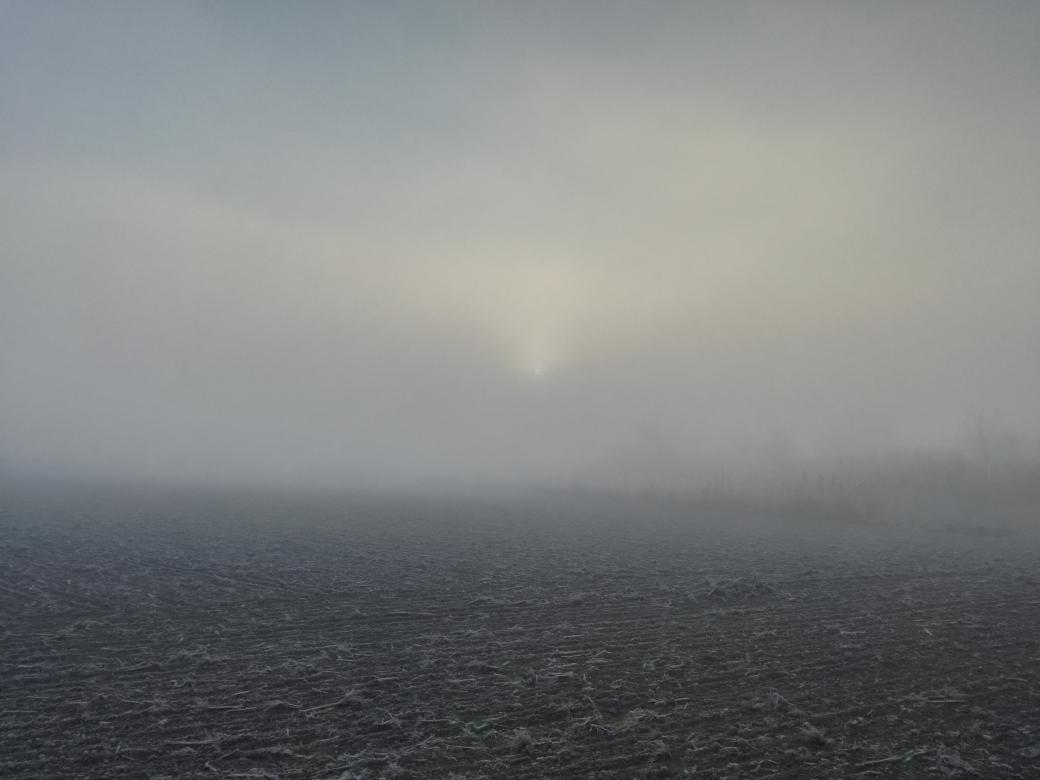 paquisoldado's tweet photo. #Boondia!! De bon matí per #Tona, el #celras després s'ha deixat caure la #boira i ara tenim el #solet espantant-la !!! T.1°C. @MeteoMoia @Cel_ennuvolat @danidanius @ARAmeteo @SoniaPapell @javioru @esolerdelcoll @meteocat @SoldadoTonyi #324eltemps https://t.co/qfl5u51hhe
