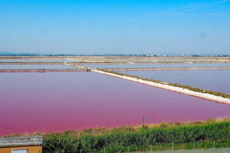 em_luxton's tweet photo. Exploring the Pink Salt Flats in Puglia https://t.co/bzQTkLQnGm a fab guest post from the lovely @danniellelily
#DestinationMakers #Italy https://t.co/67G1JPz9nx