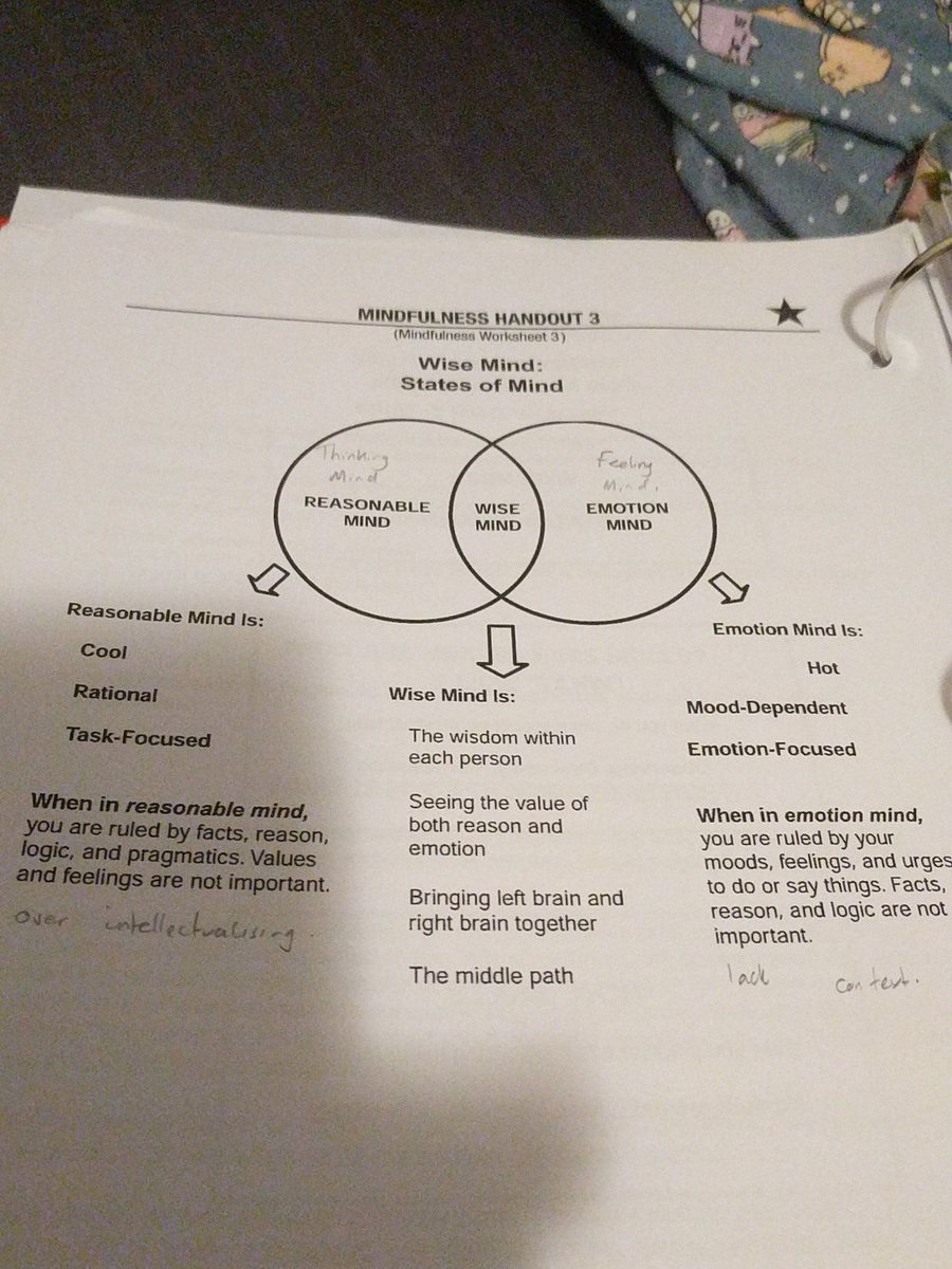 A big concept in DBT is wise mind. This basically means being balanced. When we are distressed and emotionally dysregulated, we can bounce between one and the other and it makes it really tough to make healthy choices.