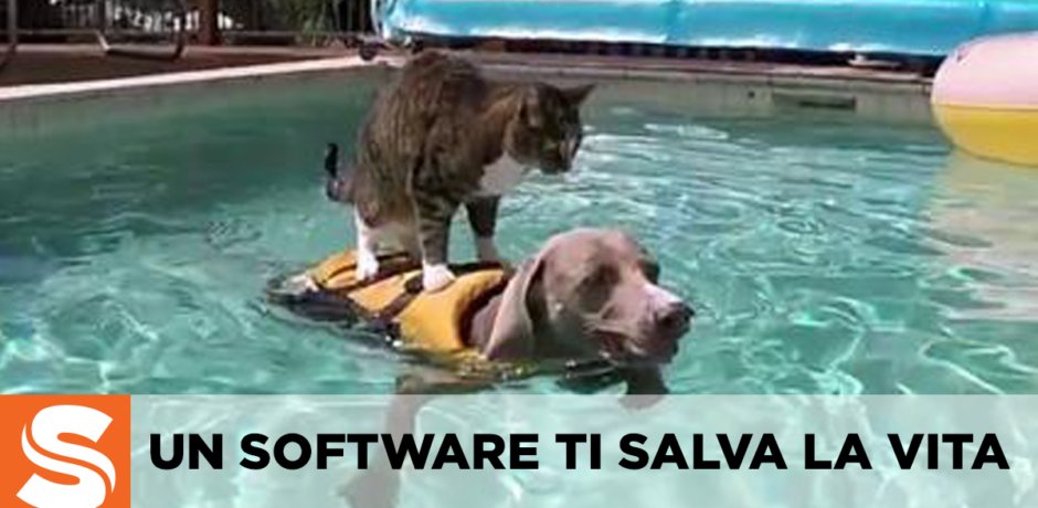 Sistema Software.AI tweet media