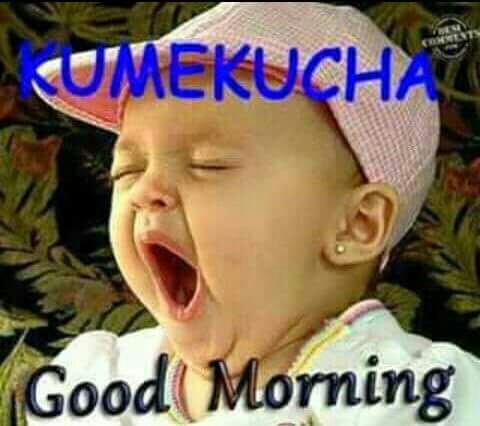 FestoMathayo tweet picture
