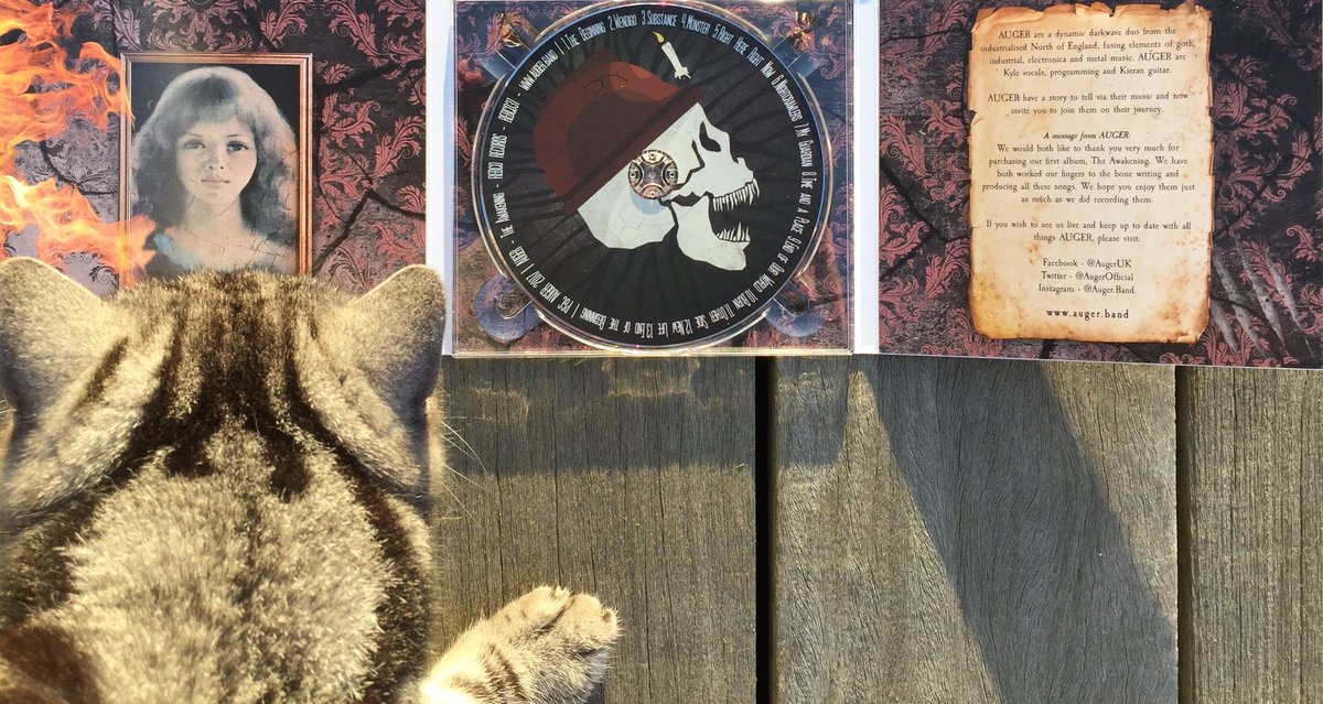 fotnjersey's tweet photo. A cracker of an album from .@AugerOfficial. Comes with feline approval! #Goth #DarkWave #Synth #DarkMelodic #DynamicDarkWave #GothLabelsAreHardToApplyToThis #JustListenAndEnjoy https://t.co/Vi6FzjLFDr