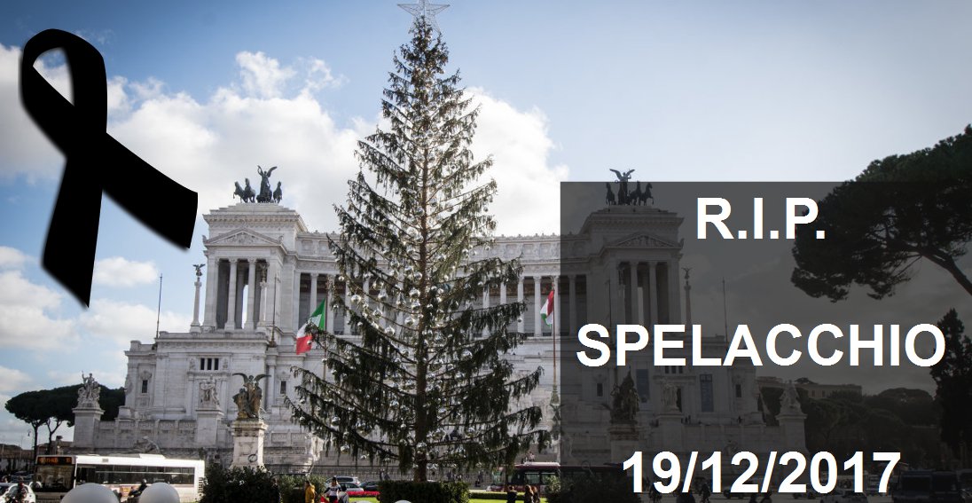 R.I.P. <a href="/spelacchio/">Spelacchio</a>  ha animato per poco le nostre feste :-(

🎄🎄🎄🎄🎄