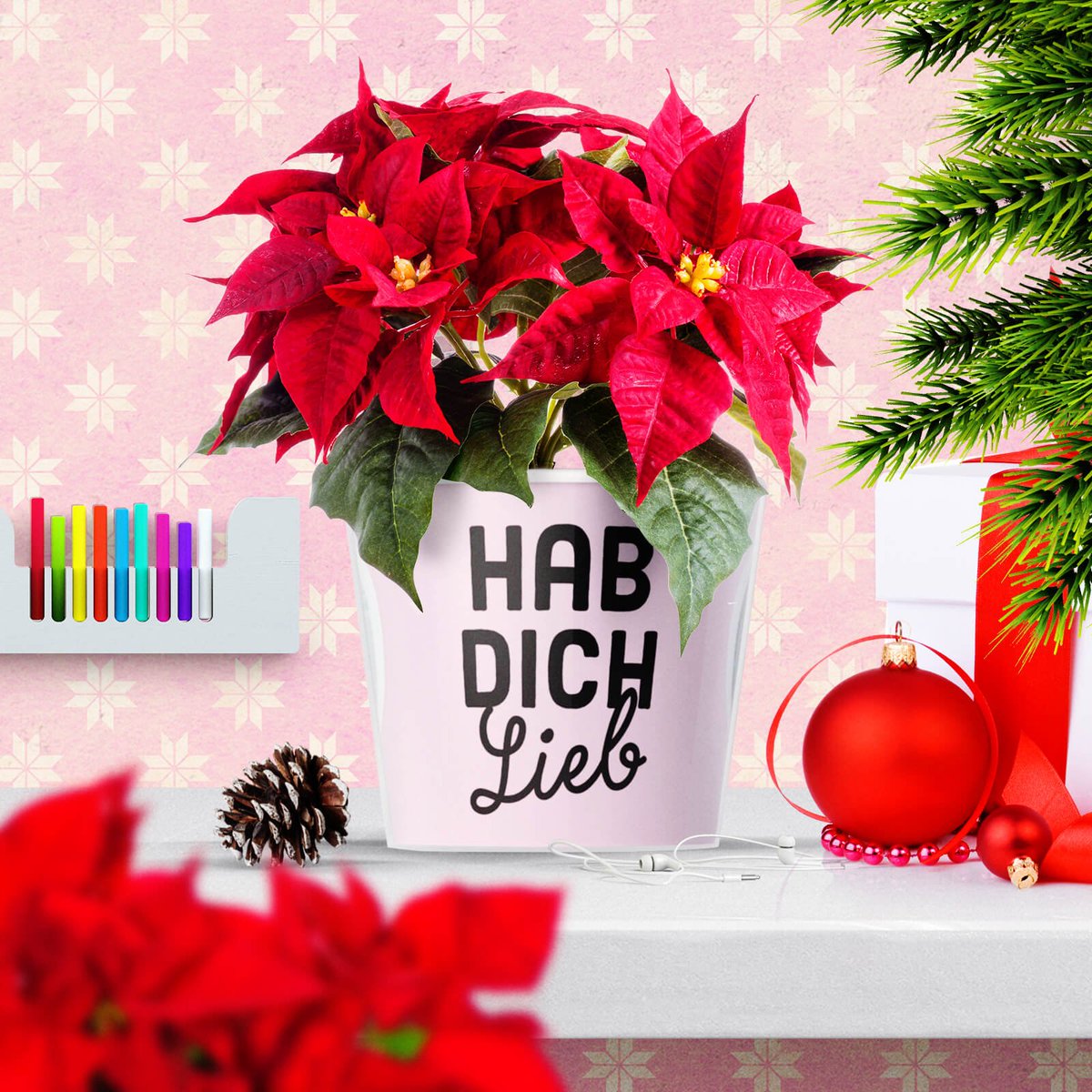 myfacepot's tweet photo. Geschenke für Opa und Oma zu Weihnachten 👩🏼🎄 Hab Dich Lieb

https://t.co/vYRcCRzspV #weihnachten #geschenk #geschenkidee #blumentopf #foto https://t.co/gxm1KMmiMR