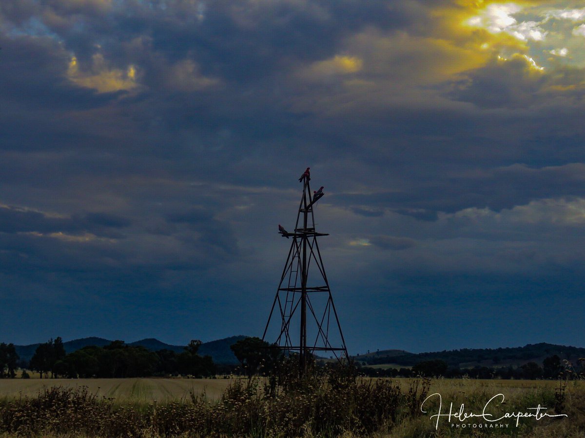 photosbyhelenc's tweet photo. Old windmill #oldwindmill #abandoned #hertiage #history #agriculture https://t.co/jD80qJGFbv