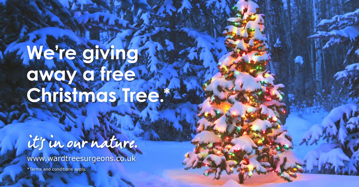 WardTreeSurgeon's tweet image. Don&apos;t forget to take advantage of our Christmas tree giveaway! We will be giving away free Christmas trees, to our first 10 customers who book this December, with every job worth £250 +VAT or more.

Don&apos;t forget to Tweet your pictures of the team in action!
Ts&amp;amp;Cs apply.