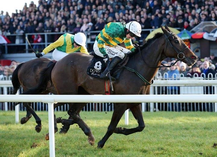frenchvillage's tweet photo. A great day @Downroyal Racecourse today to conclude this years racing calendar! For 2018 fixtures -https://t.co/fi63BWN6ke #teamDR #teamFVB https://t.co/ueq6NNbavY