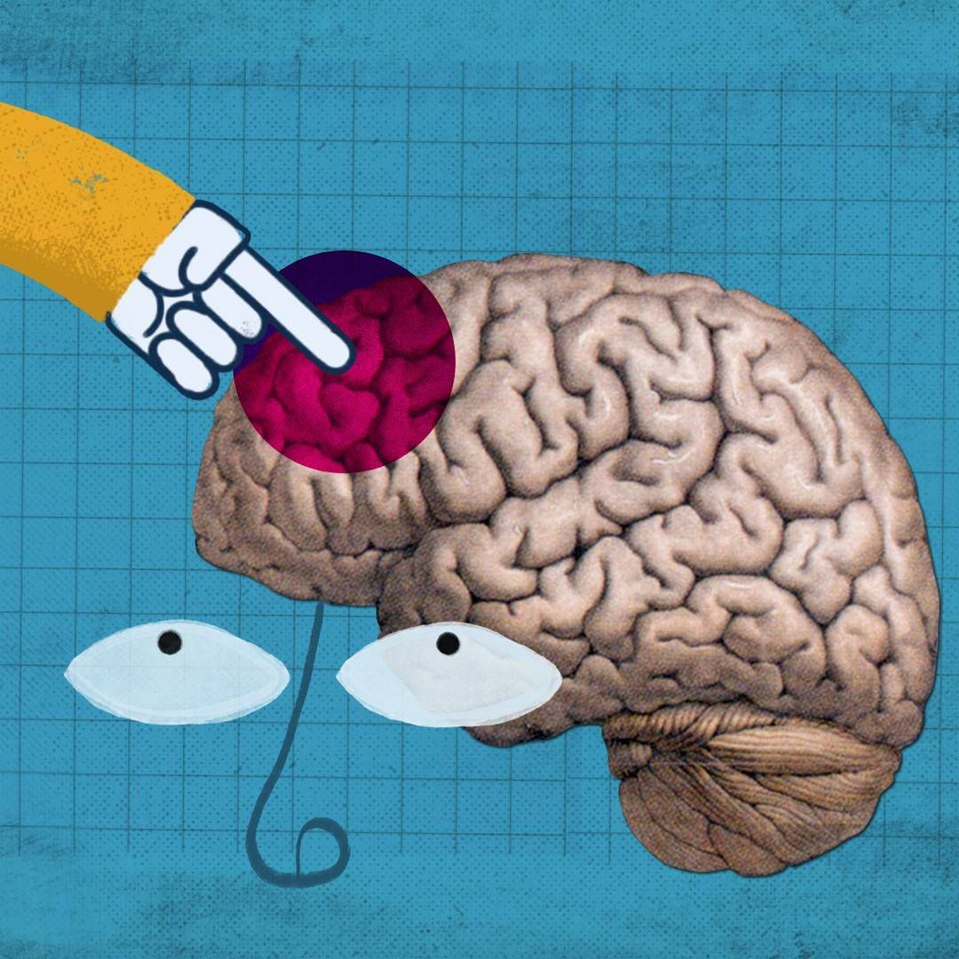 newleaffdn's tweet photo. A great, informative video on the teenage brain: https://t.co/VktLcL3j1K #braindevelopement #brianscience #youth #newleaf https://t.co/fJOFrdcgFL