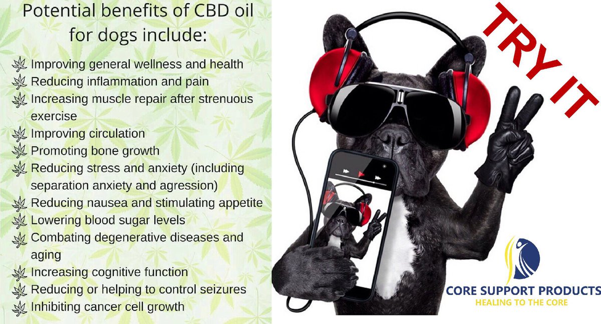 healing2thecore's tweet photo. Fido has needs too! As your pet ages or has daily needs that you’re not sure how to address, try #CBDOIL, it’s the most natural, non harmful way to ease your pets health issues without expensive prescriptions. #hempforpets #naturalchoices #cannabis #CSPCBD #petproducts #pets https://t.co/e3rR8rne4Q