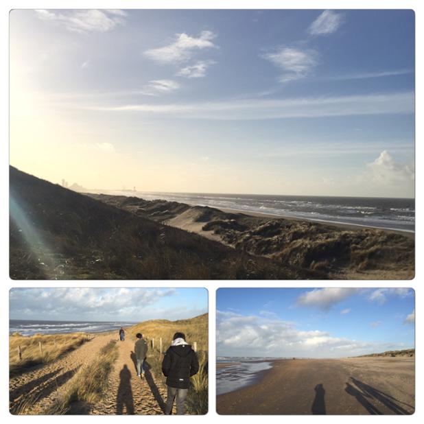 Walking against the wind <a href="/Meijendel/">Meijendel</a>