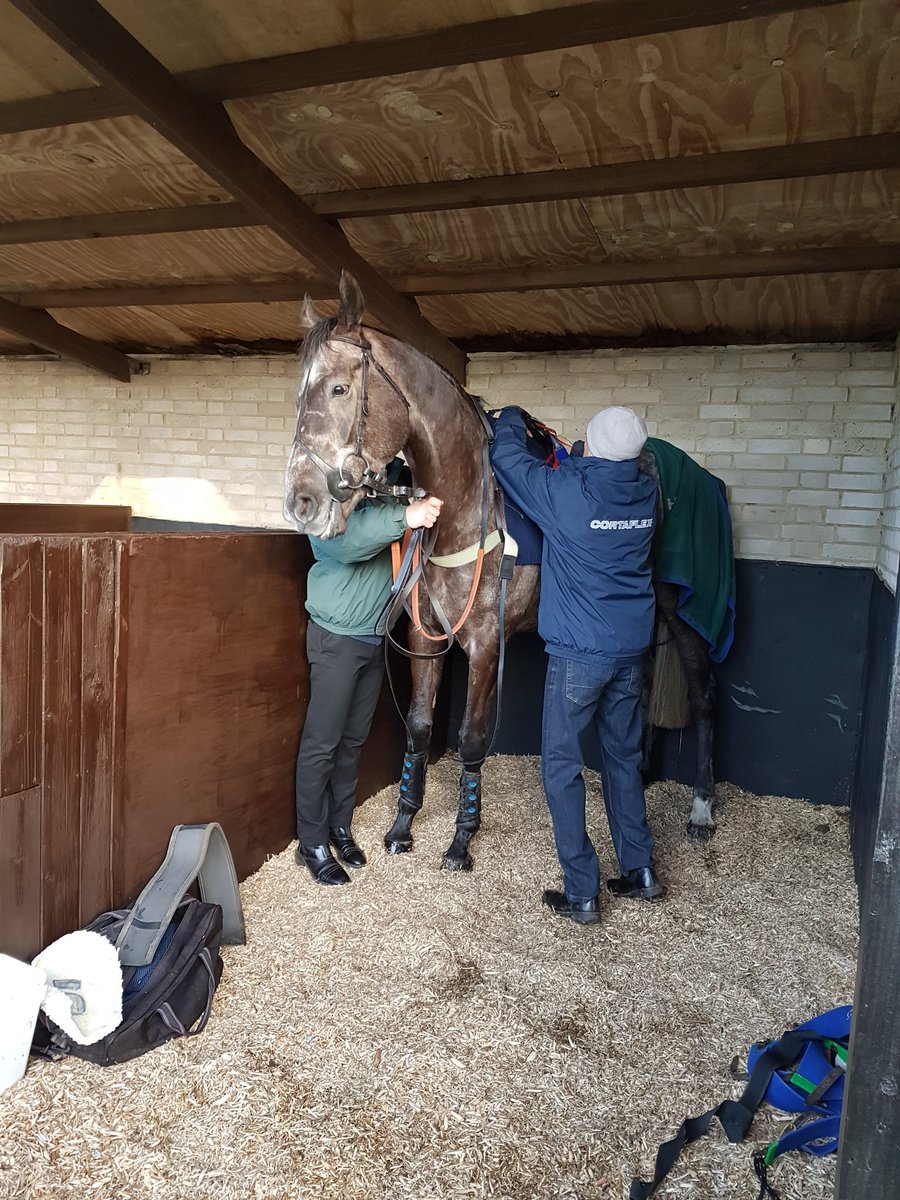 ReebokRebecca's tweet photo. Sisania pre race. 
Unplaced but home safe which is the main thing. https://t.co/LENLjQcg67