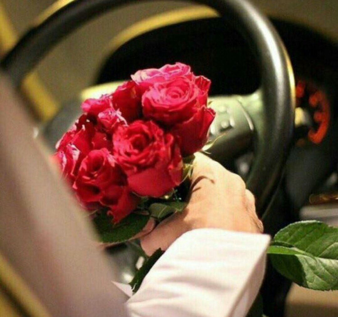 no_sgnl's tweet photo. .

واللي جعل في وجهك الخير كله
اني احبك حب : ما يوصفه شي !❤🌹 
#مساء_الخير https://t.co/dydNQVy3aN