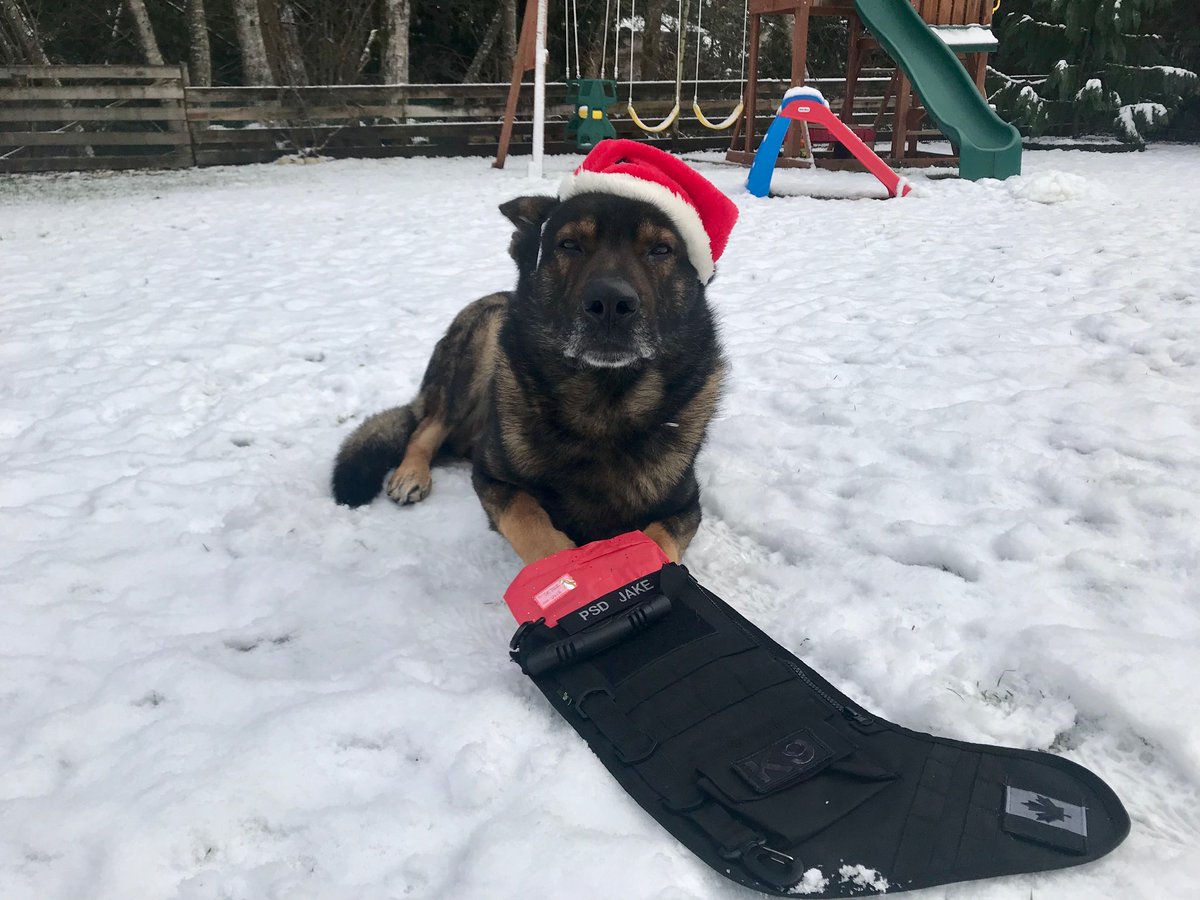 PoliceDogJake's tweet photo. Merry Belated Christmas everyone! Lucky to have had the day off, back on the road today! #westvanpolice #k9strong #policedogsofig https://t.co/cpQxdrhwh0