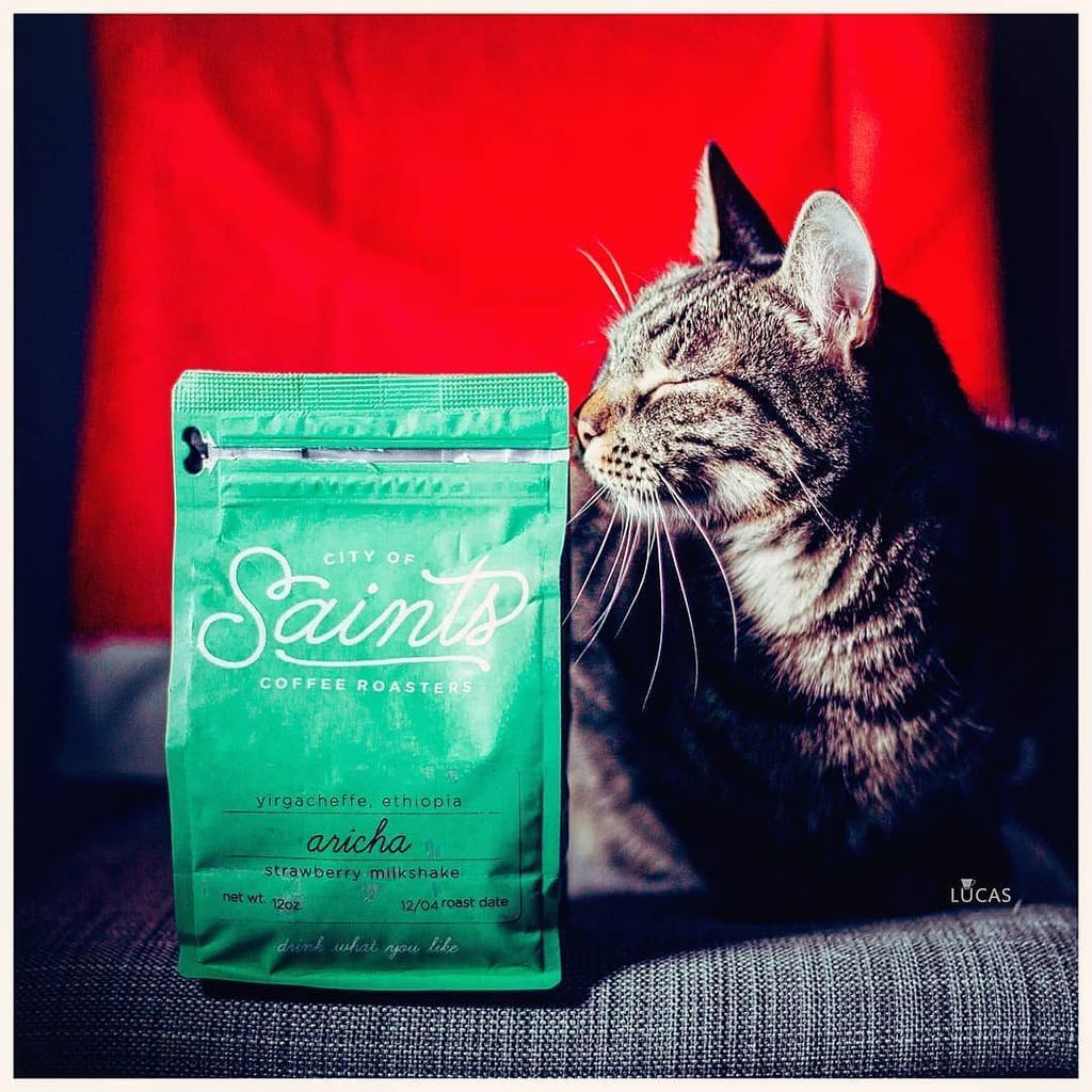 CoffeeAndLucas's tweet photo. ☕ Coffee Lover 😻
▶
Jesse is falling in love with the strawberry milkshake taste of this Ethiopia Aricha roasted in Brooklyn by City of Saints 👌👌
▶
#thirdwavecoffeerome
#cityofsaintscoffee #cityofsaints #xmastime #christmascoffee #redchristmas #ca… https://t.co/LuErvdThvL https://t.co/SP9q3P6hf5