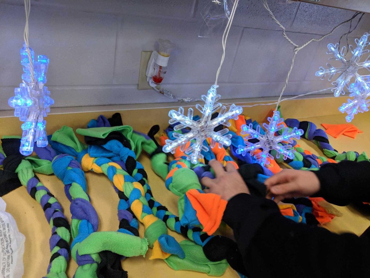 Brooklyn_Canes's tweet photo. Thanks to our 7th grade volunteers and Miss Krall for making tug rope toys for the Cleveland APL. https://t.co/xQM1Mr47cX