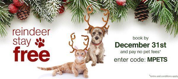 TheRebelChick's tweet photo. Traveling with the pets this holiday season? Pets Stay Free at Extended Stay America Through Dec 31st! https://t.co/FJMPKES3Mx #MyESA #AD https://t.co/rq5PYhyeli