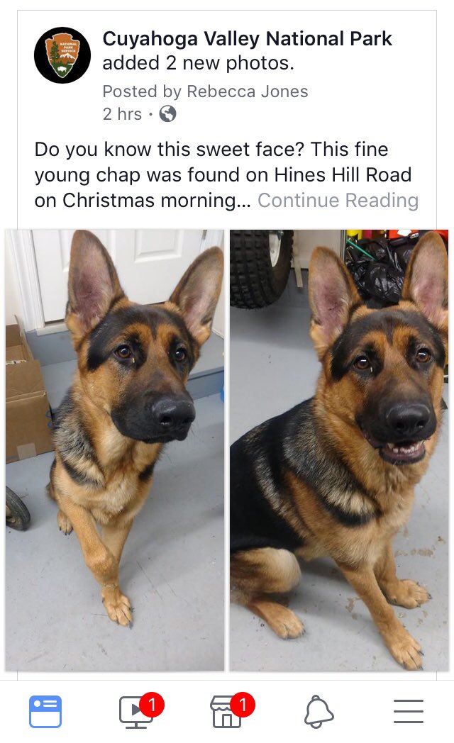 CVNPNPS's tweet photo. Does anyone recognize this sweet face? He was found on Hines Hill Rd Christmas Day. If so, please call the Boston Store Visitor Center at 440-717-3835 https://t.co/o6OKbekAMB