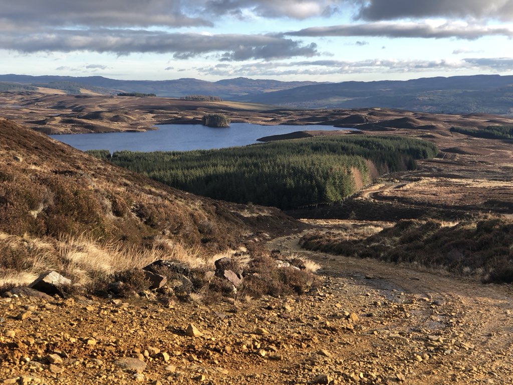 Taking #turkeybelly for a run up the local hill! #trailrunning #winterishere #scotlandoutdoors #youtalkingtome #aberfeldy