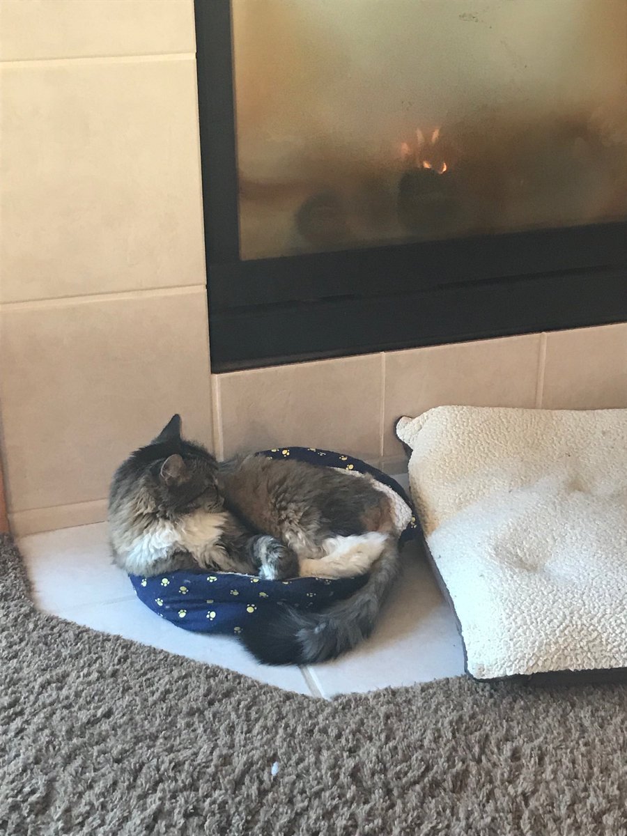 Just because...love him!💝