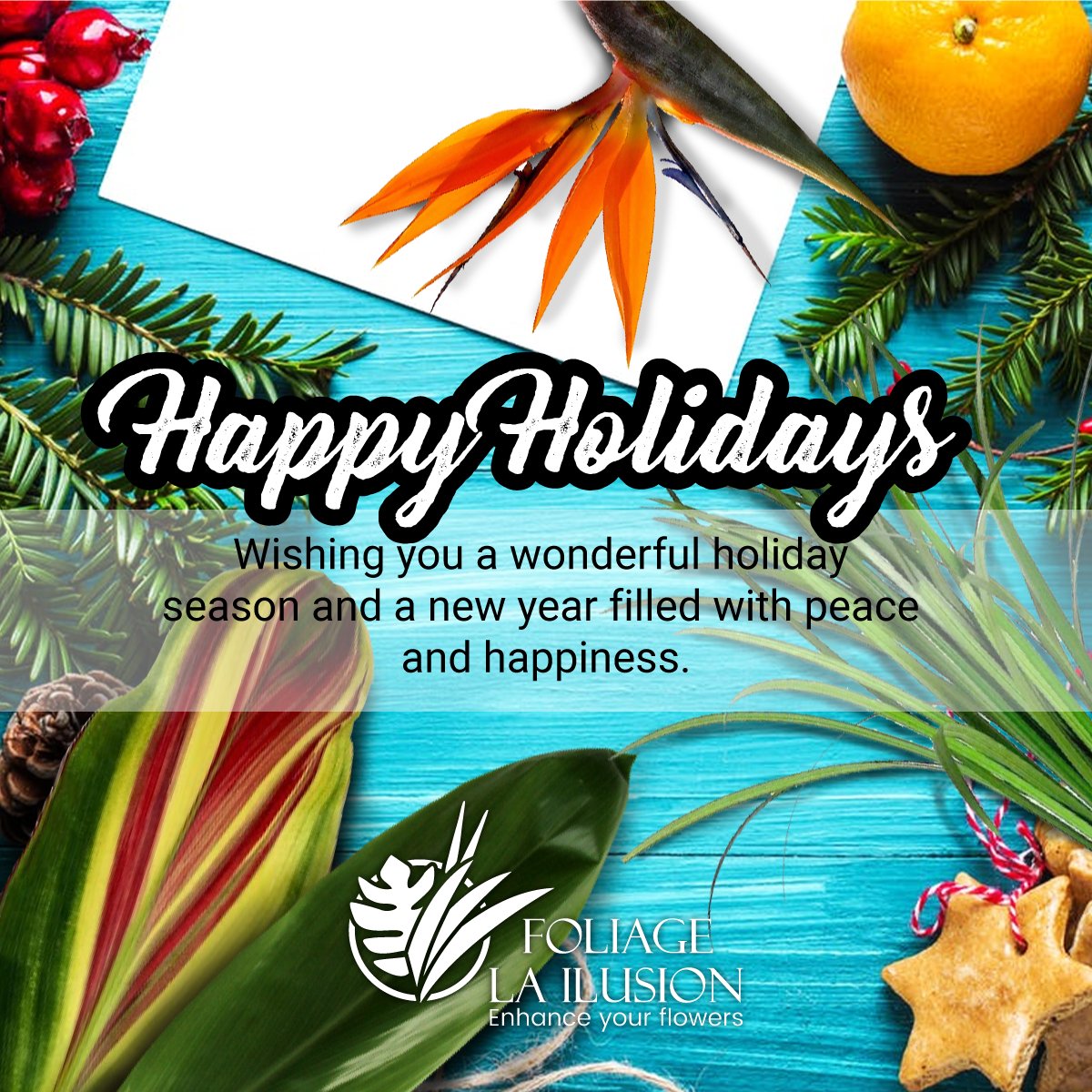 f_lailusion's tweet photo. Happy holidays and a happy new year.

#flores #flowers #florist https://t.co/bdi9sdJOPH
