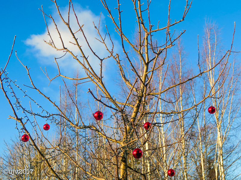 UVornanen's tweet photo. Joulupäivän "omput".
#joulu2017 #sää #canontalvi #xmas2017 #weather #christmas2017 #jul2017 https://t.co/jzMKTJL8AC