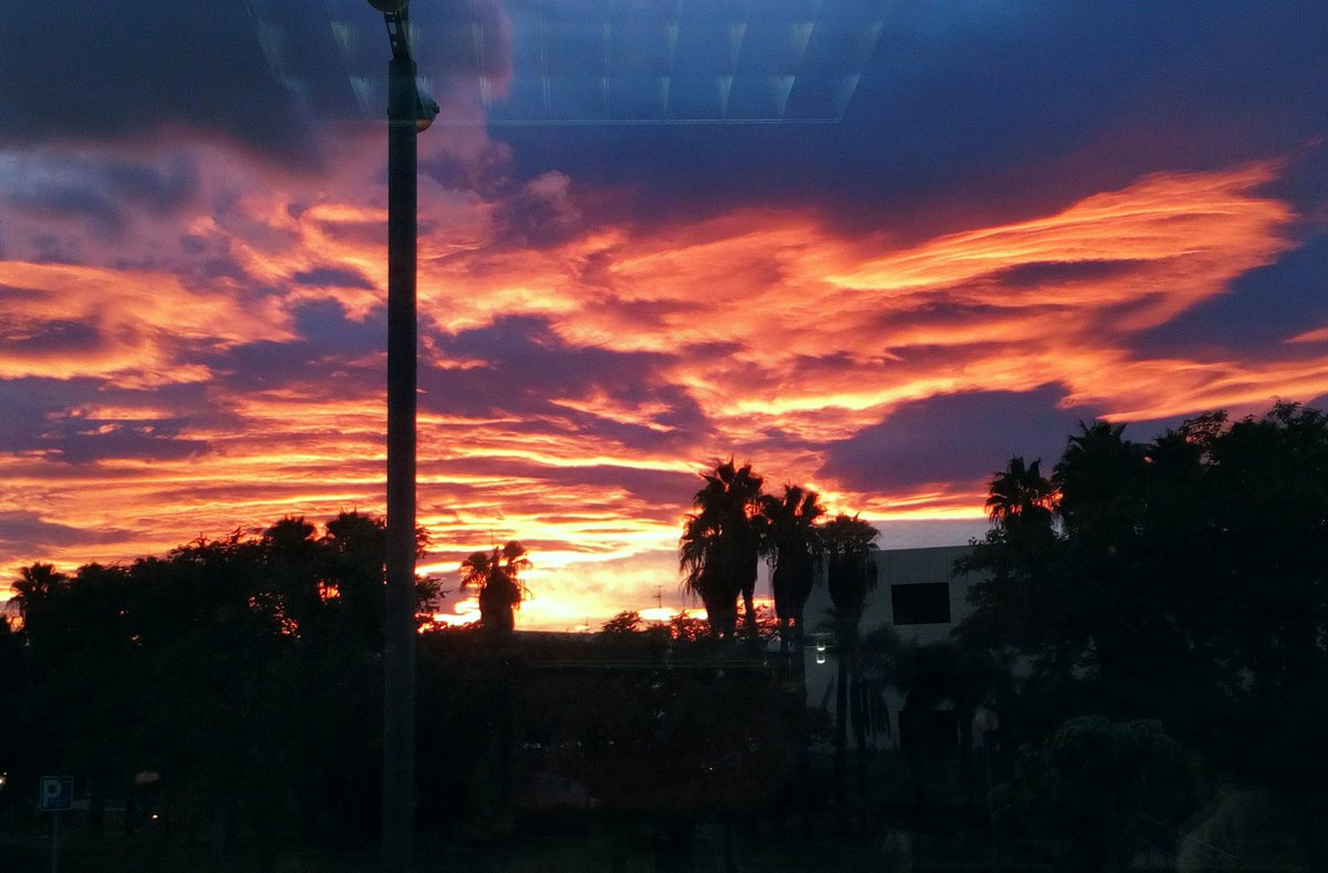 dhvtechnology's tweet photo. Vista desde #DHVTechnology, en @BicEuronova, @PTAMalaga.
#FelizNavidad
#MerryChristmas https://t.co/NXrDuDpjCj