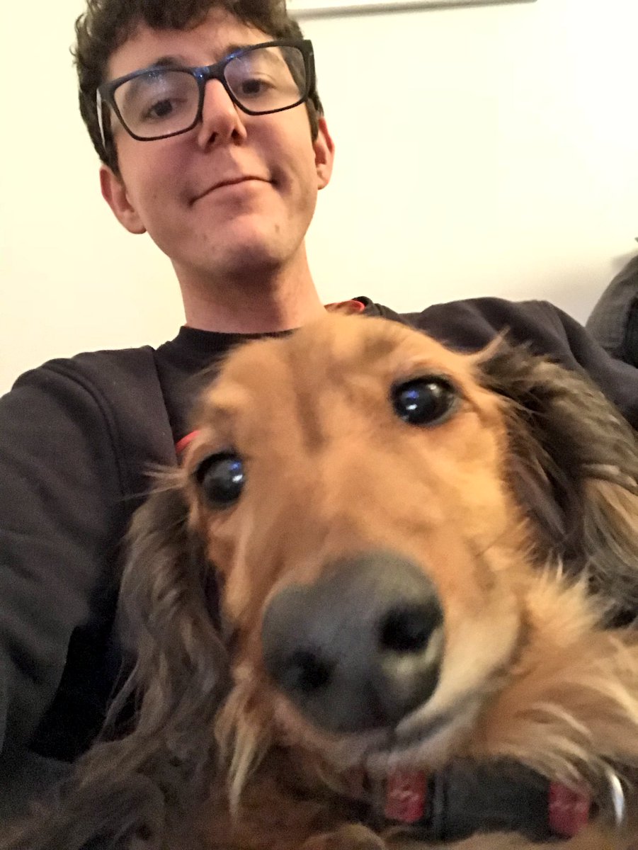 MyNamesChai's tweet photo. This is Fraggle, he is a good luck dog. Retweet him for good luck in 2018. https://t.co/pO9tEVFKvY