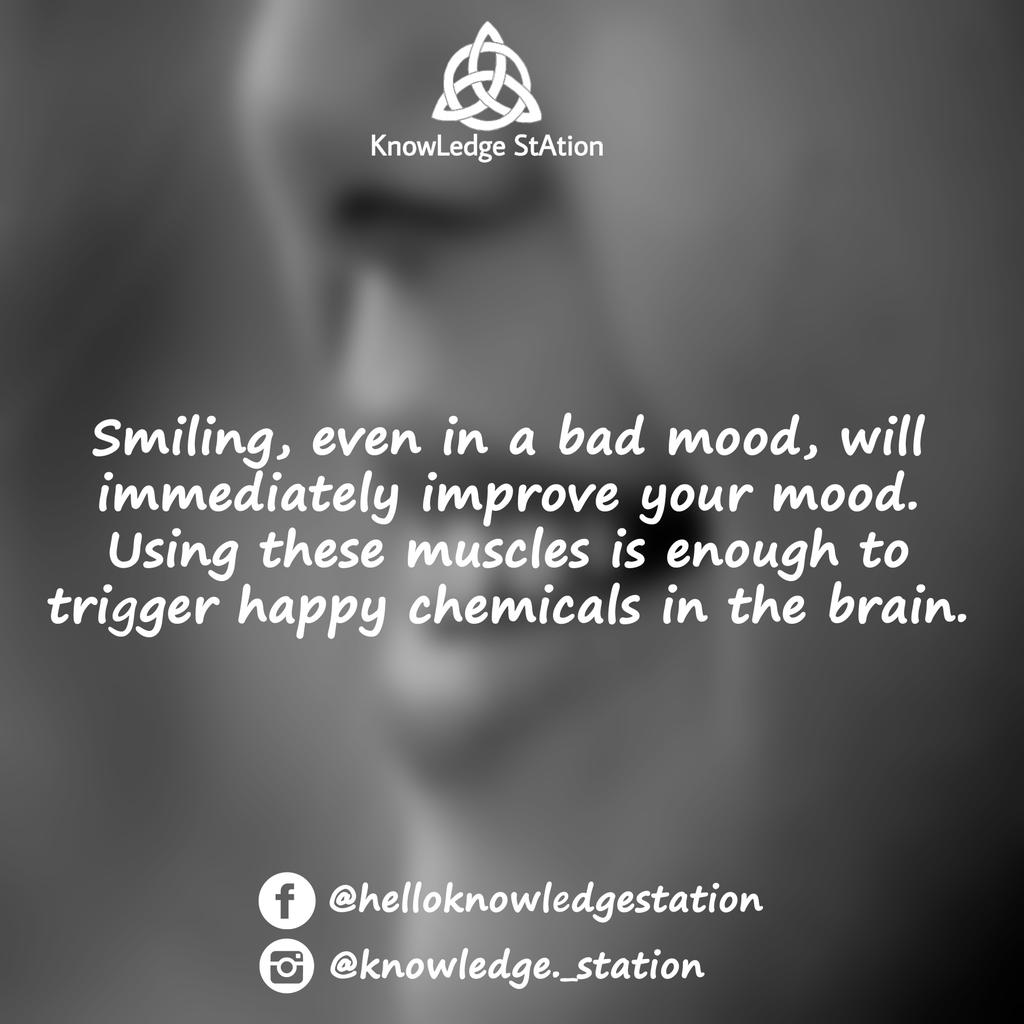 Kn0wledgepage's tweet photo. 💬 👍 #knowledgeispower #knowledgesociety #facts #factsonly #knowledgestation #instafacts #facts✔ #follow4follow https://t.co/apVF4u91kc