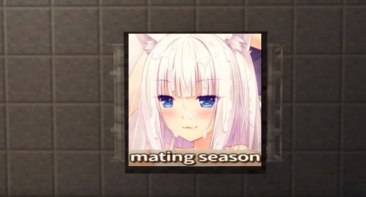 Salad Attack Fanpage tweet media